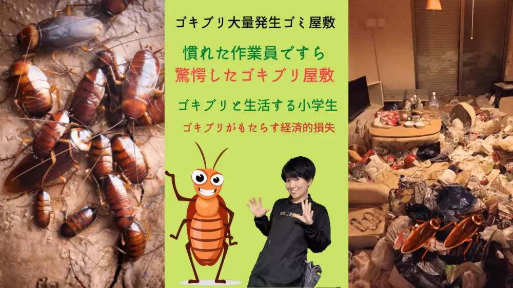 ゴキブリが出たゴキ様