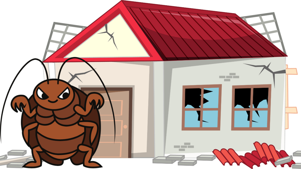 【ゴミ屋敷のゴキブリ】最も効くゴキブリ対策と大量発生事例