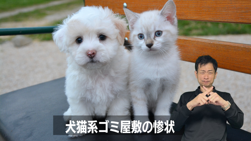 【実録】犬猫多頭飼育の惨状｜ペット系ゴミ屋敷の現実
