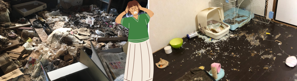 【実録】犬猫多頭飼育の惨状｜ペット系ゴミ屋敷の現実