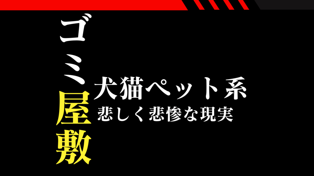 【実録】犬猫多頭飼育の惨状｜ペット系ゴミ屋敷の現実