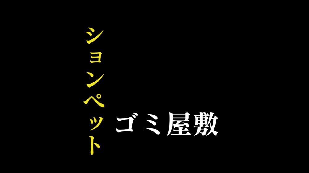 ションペットがあるゴミ汚部屋の清掃費用公開