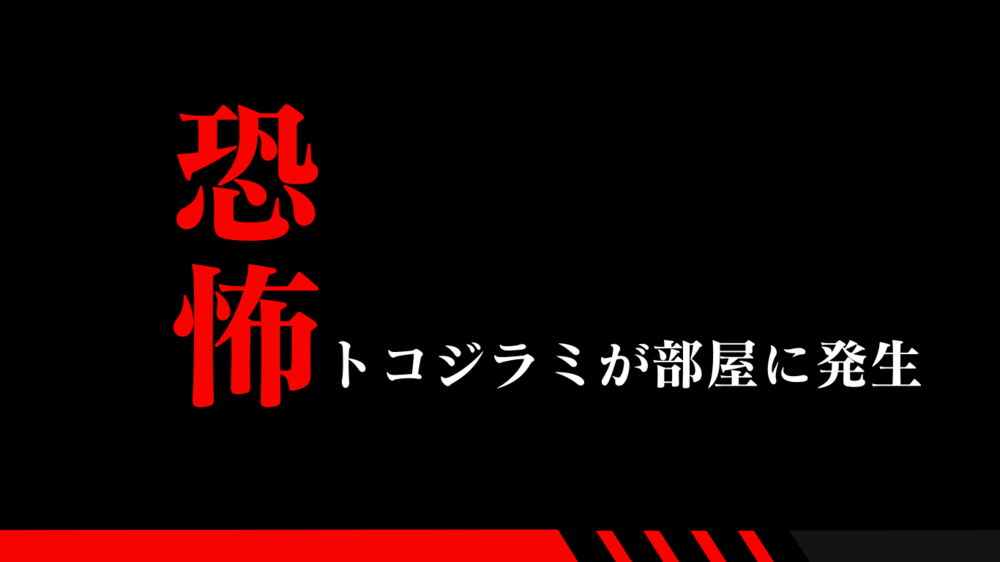 トコジラミ対策！侵入予防をしっかりして部屋に入れない