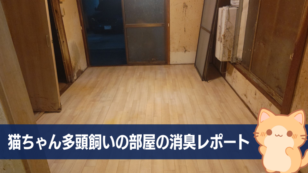 【ペット消臭】猫多頭飼いだったアパートの消臭実例と料金