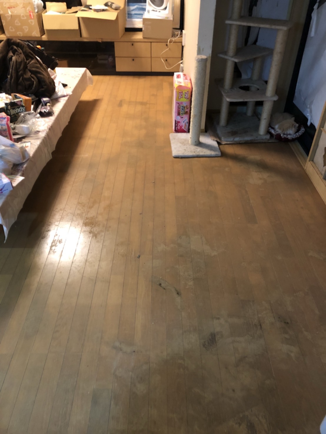 ゴミ屋敷の床はひどく傷む