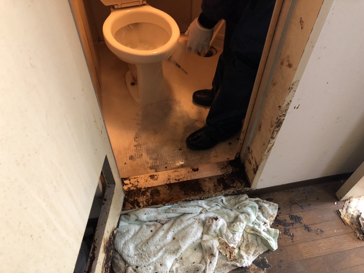 荒れた部屋ゴミや汚い部屋専門のハウスクリーニング屋さん 株式会社まごのて 荒れた部屋ゴミや汚い部屋専門のハウスクリーニング屋さん 株式会社まごのて