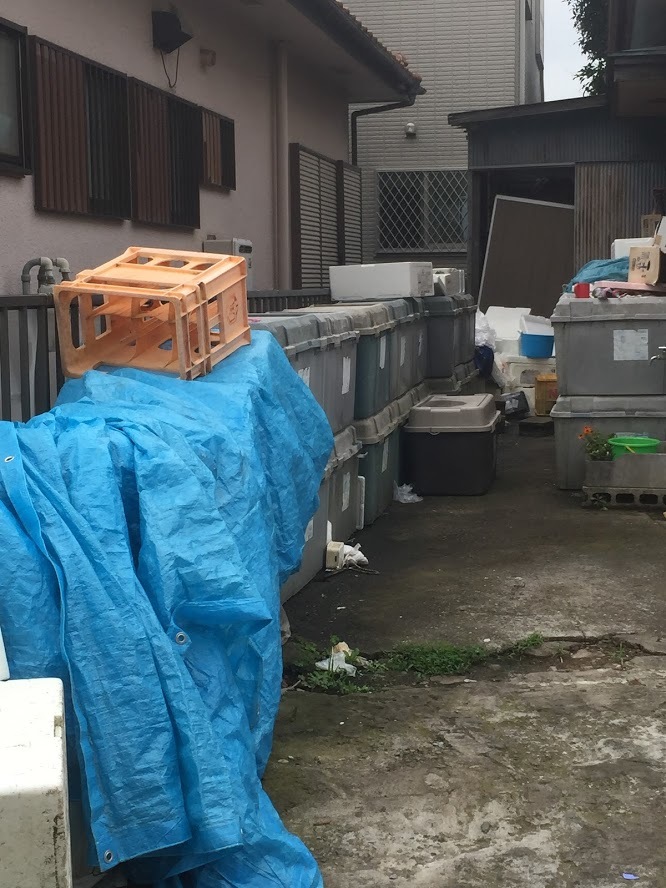 千葉県市川市のゴミ屋敷片付け