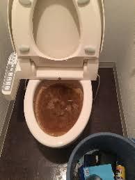東京、千葉でトイレの詰まりすぐに直します