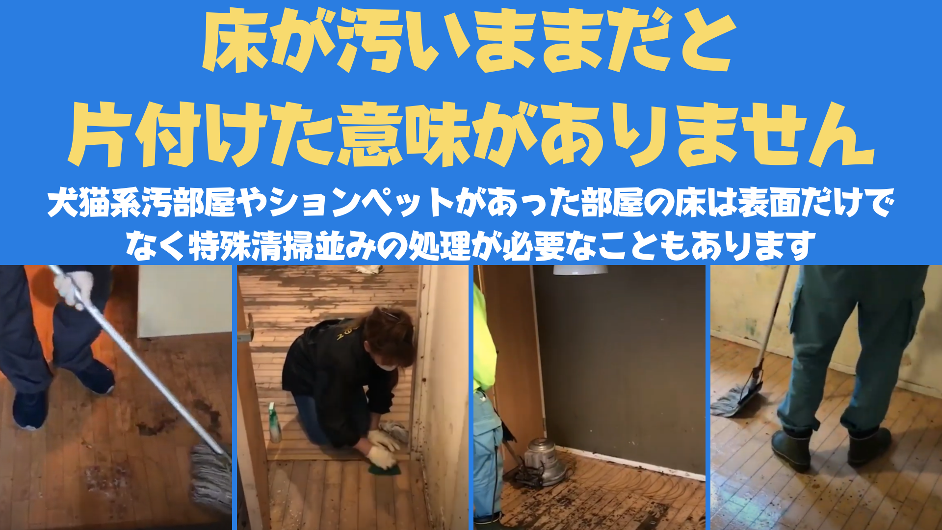 犬猫たちからのお願い。ずっと大好きなご主人様と一緒にいたいから部屋をキレイにしてください