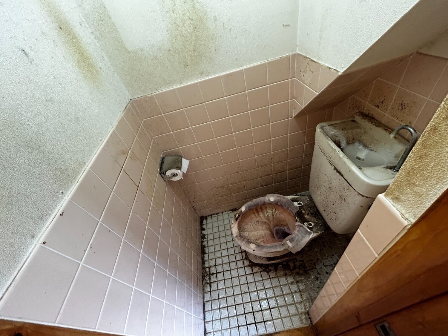 汚れたトイレのハウスフリーニング