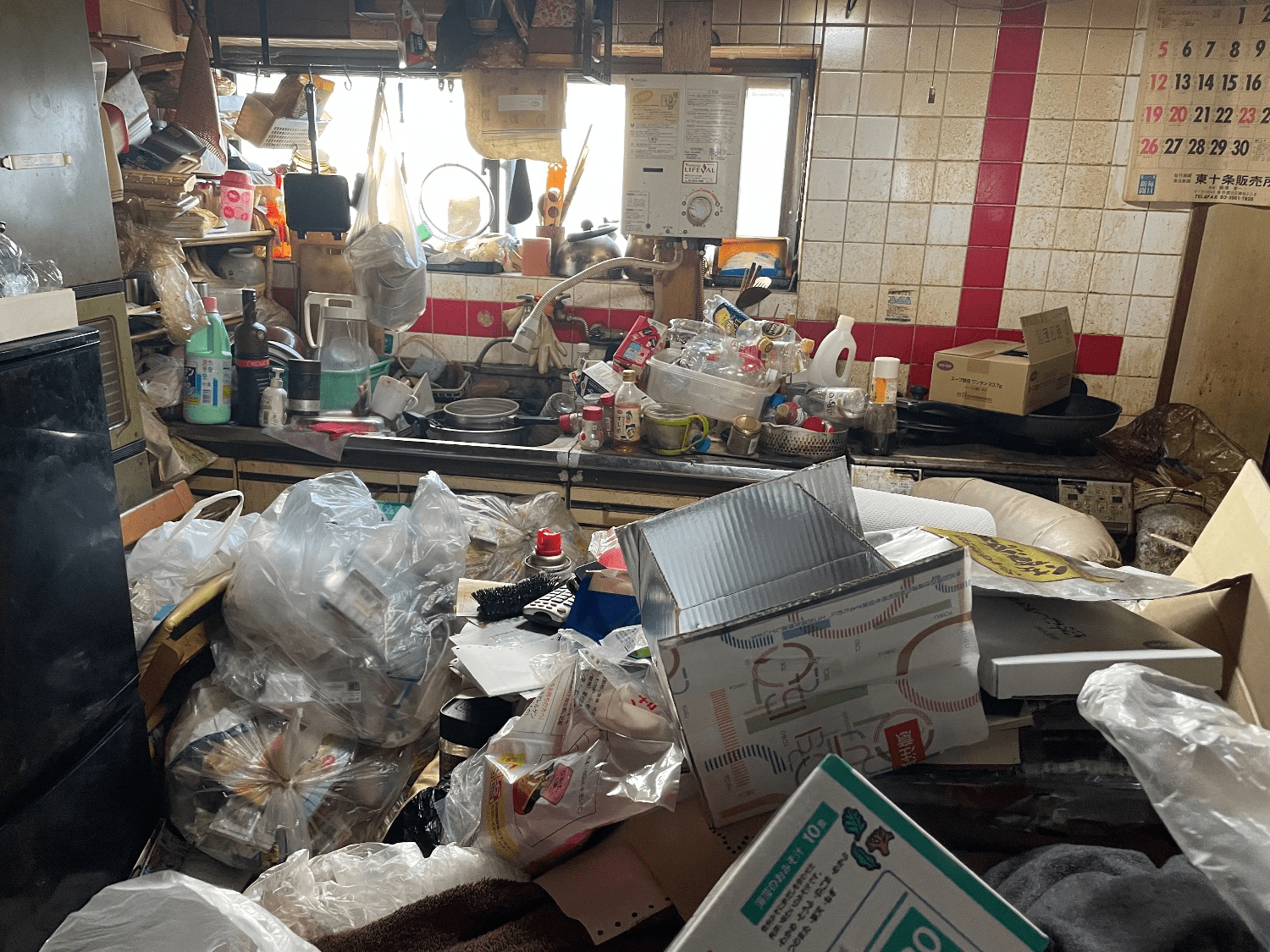 ゴキブリが出る部屋かチェック