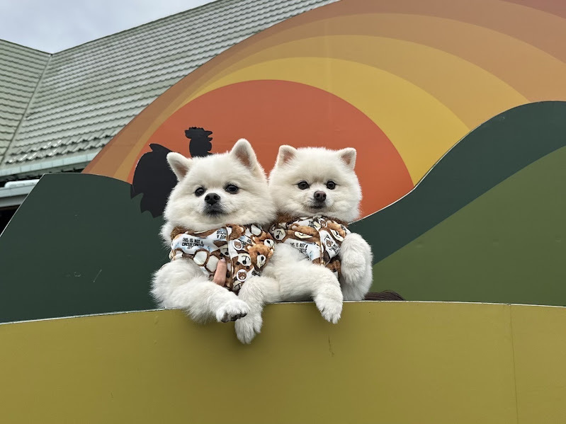 定春くんと新八くん
