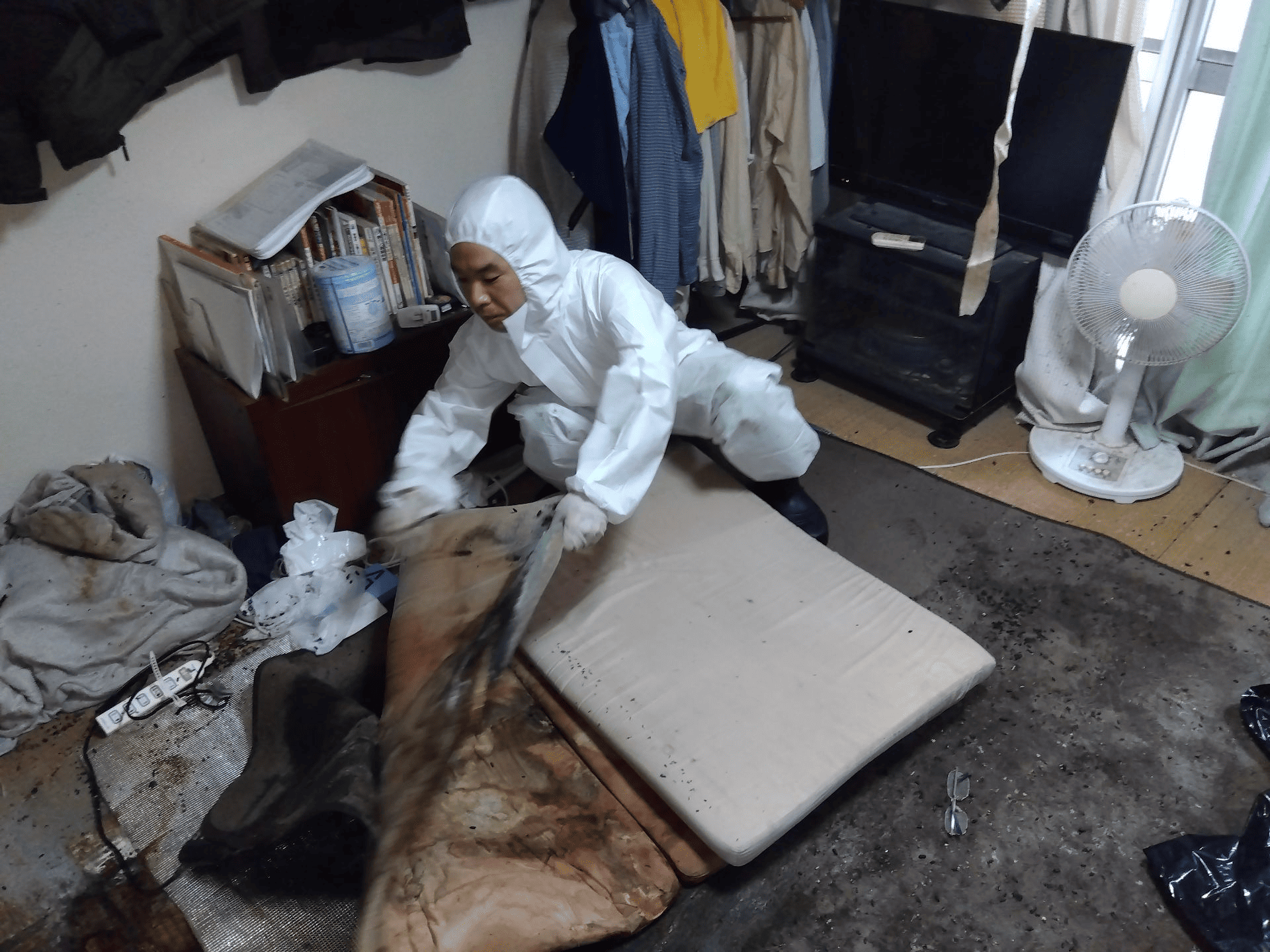 画像の説明