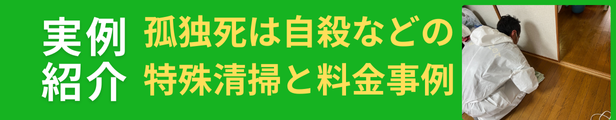 特殊清掃の実例案内