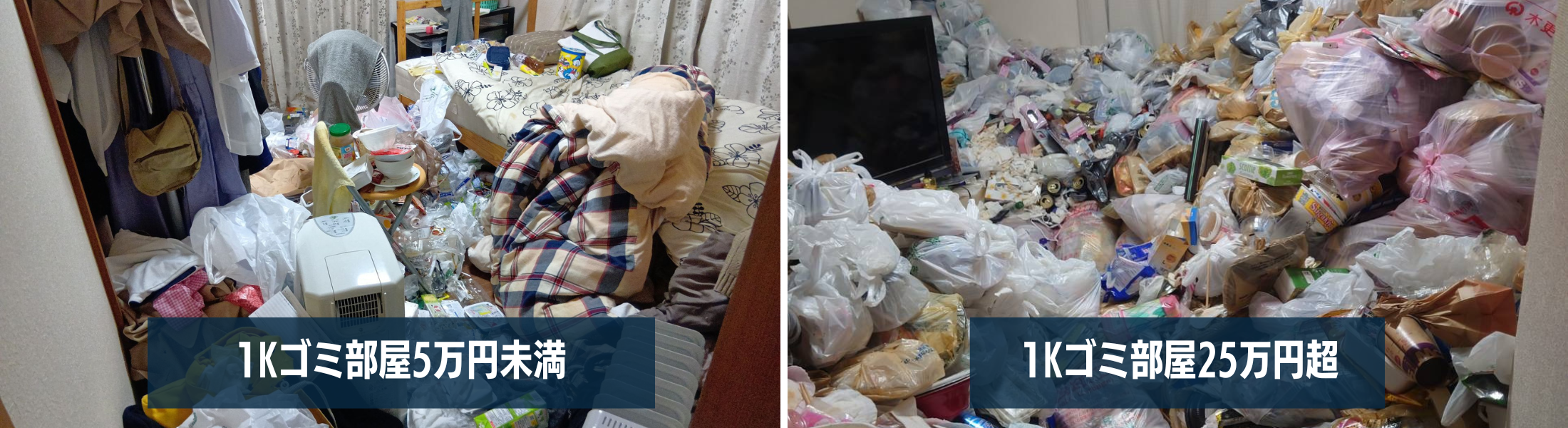 1Kゴミ部屋でも様相が全く違う