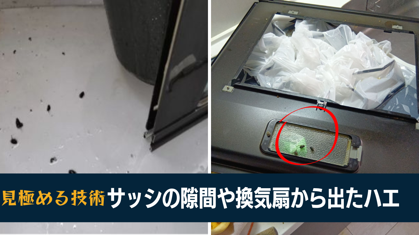 ハエ跡の洗浄は特殊清掃の要