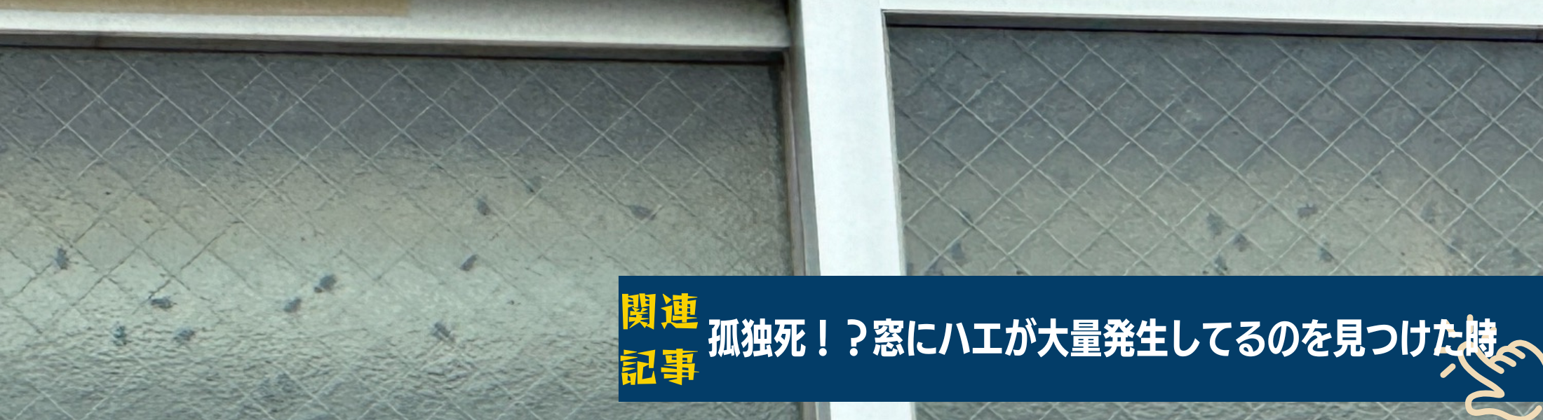 窓にハエ?中で人が亡くなってるかも