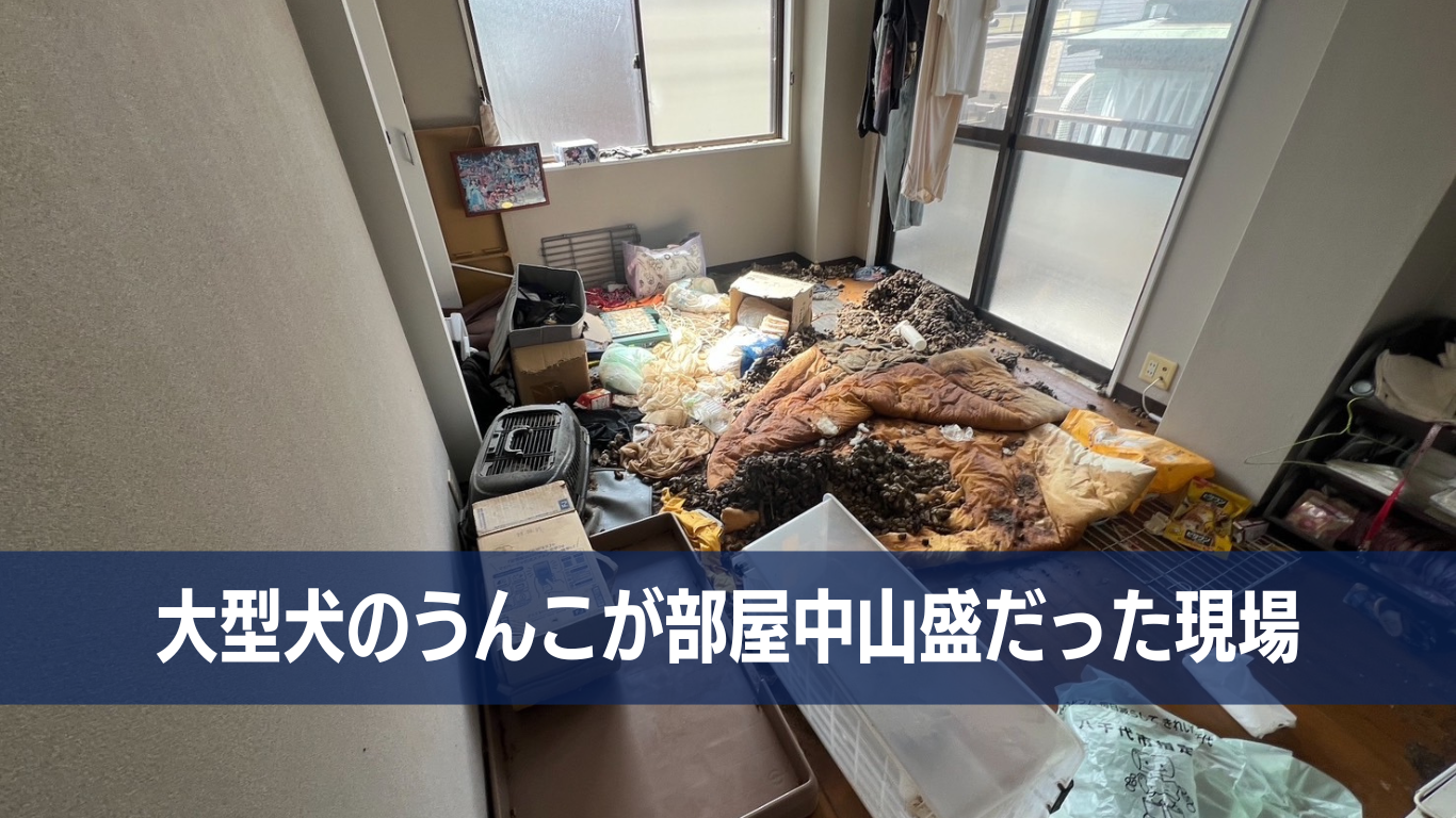 犬糞山盛りのゴミ屋敷