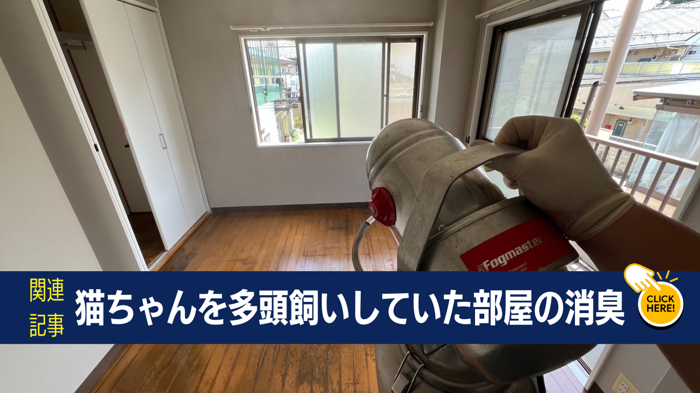 猫多頭飼いだった部屋の消臭