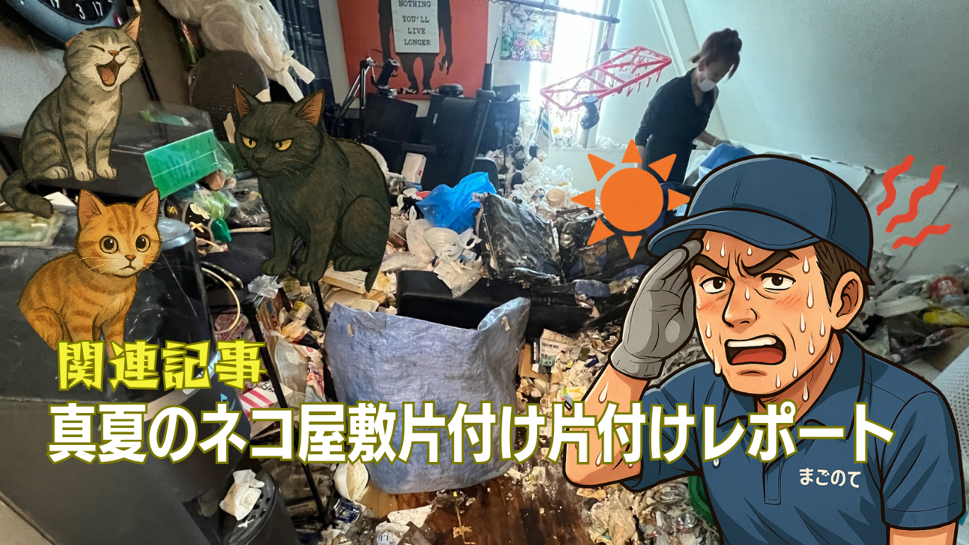 真夏のネコ屋敷片付けレポート