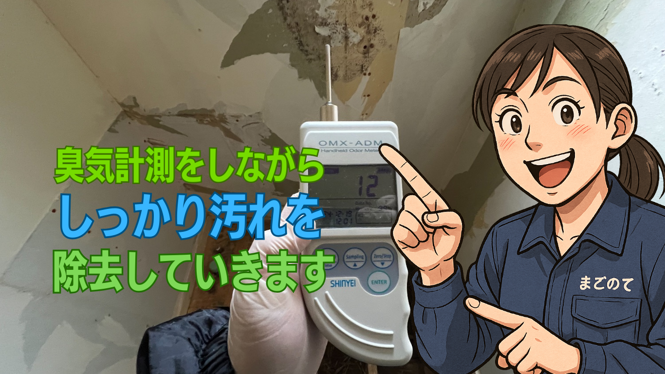 汚れの範囲を確認し洗浄を繰り返す