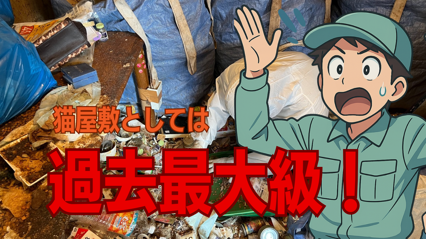 ゴミ屋敷片付け作業レポート