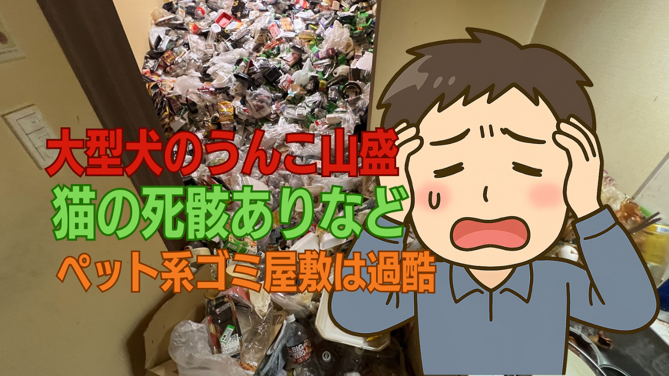 犬糞山盛りのゴミ屋敷