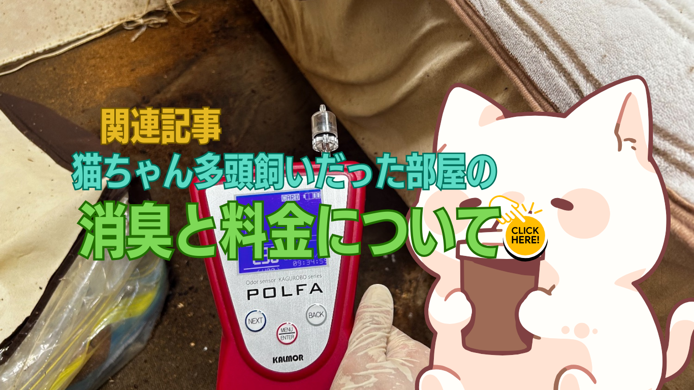 猫を多頭飼いしていた部屋の消臭