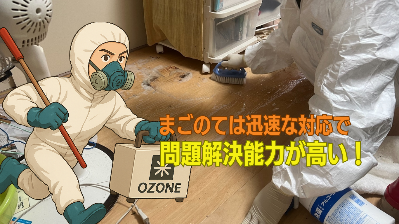 東京で一番問題解決能力が高いまごのて