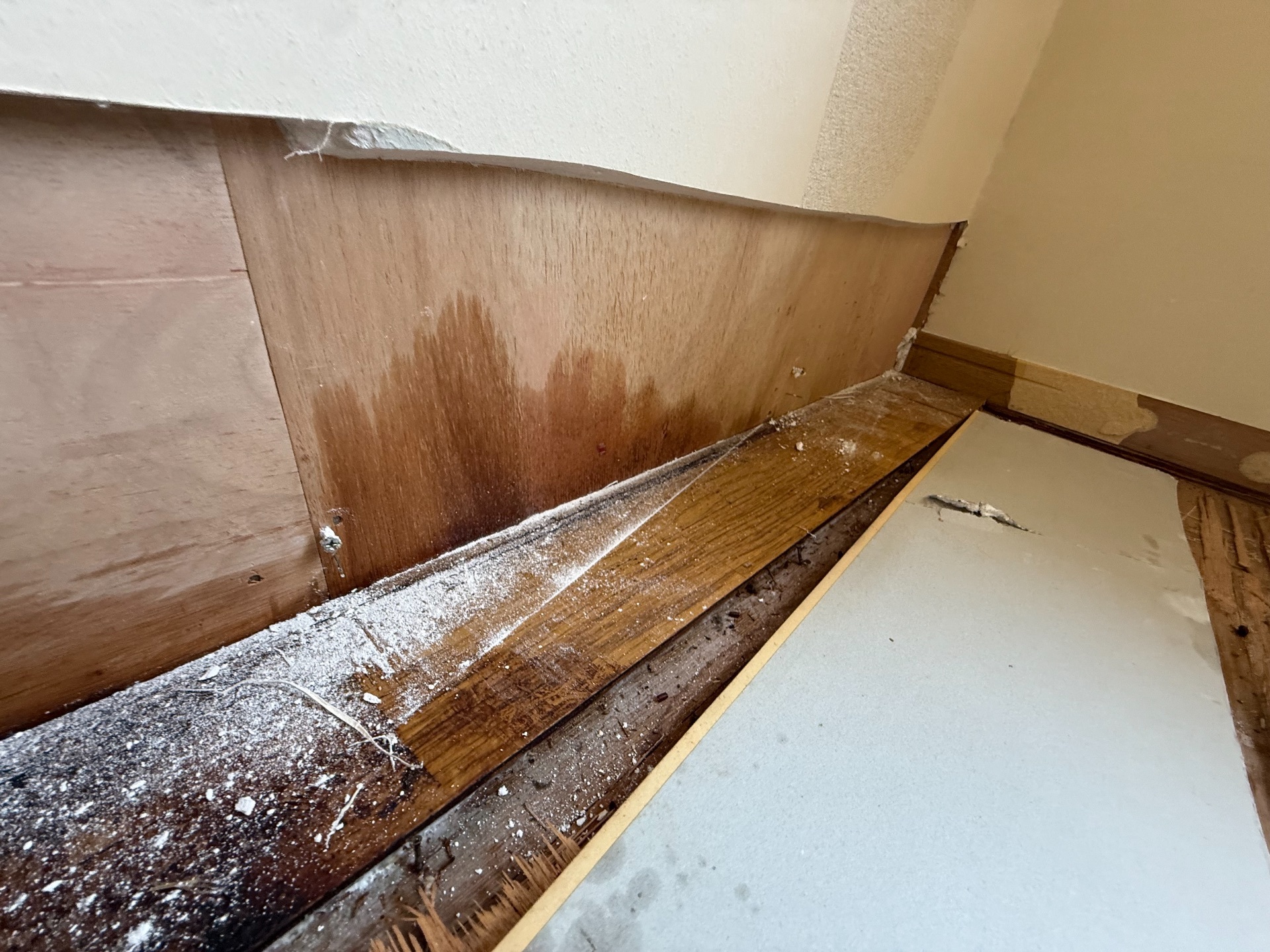 隣の壁近くまで流れた腐敗体液