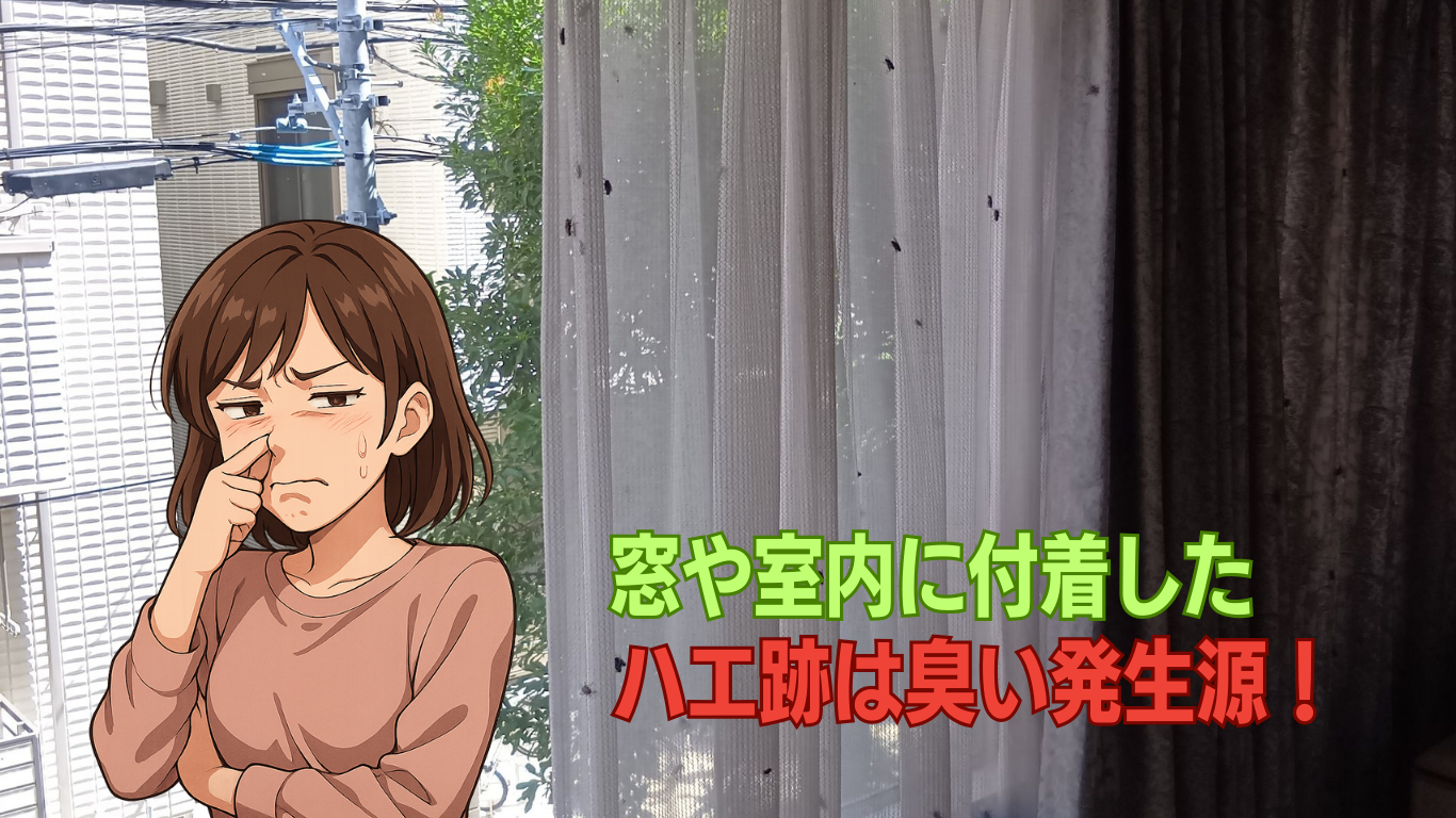 特殊清掃二次処理で小さな汚れも取る
