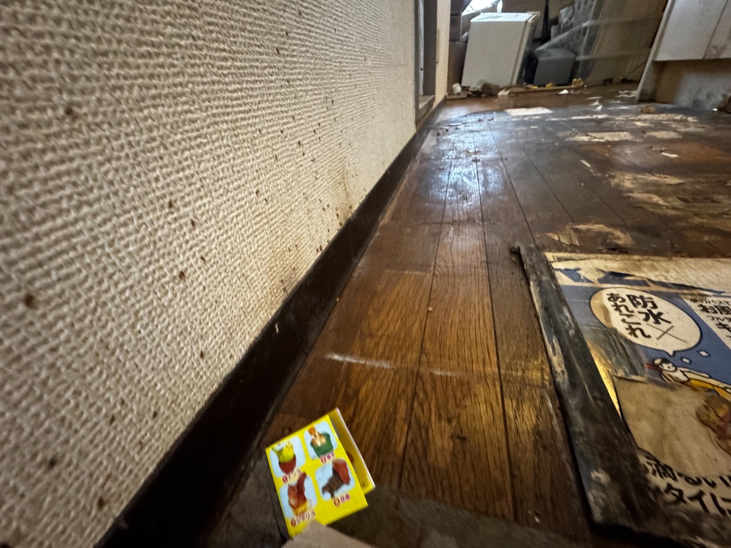 完全な特殊清掃