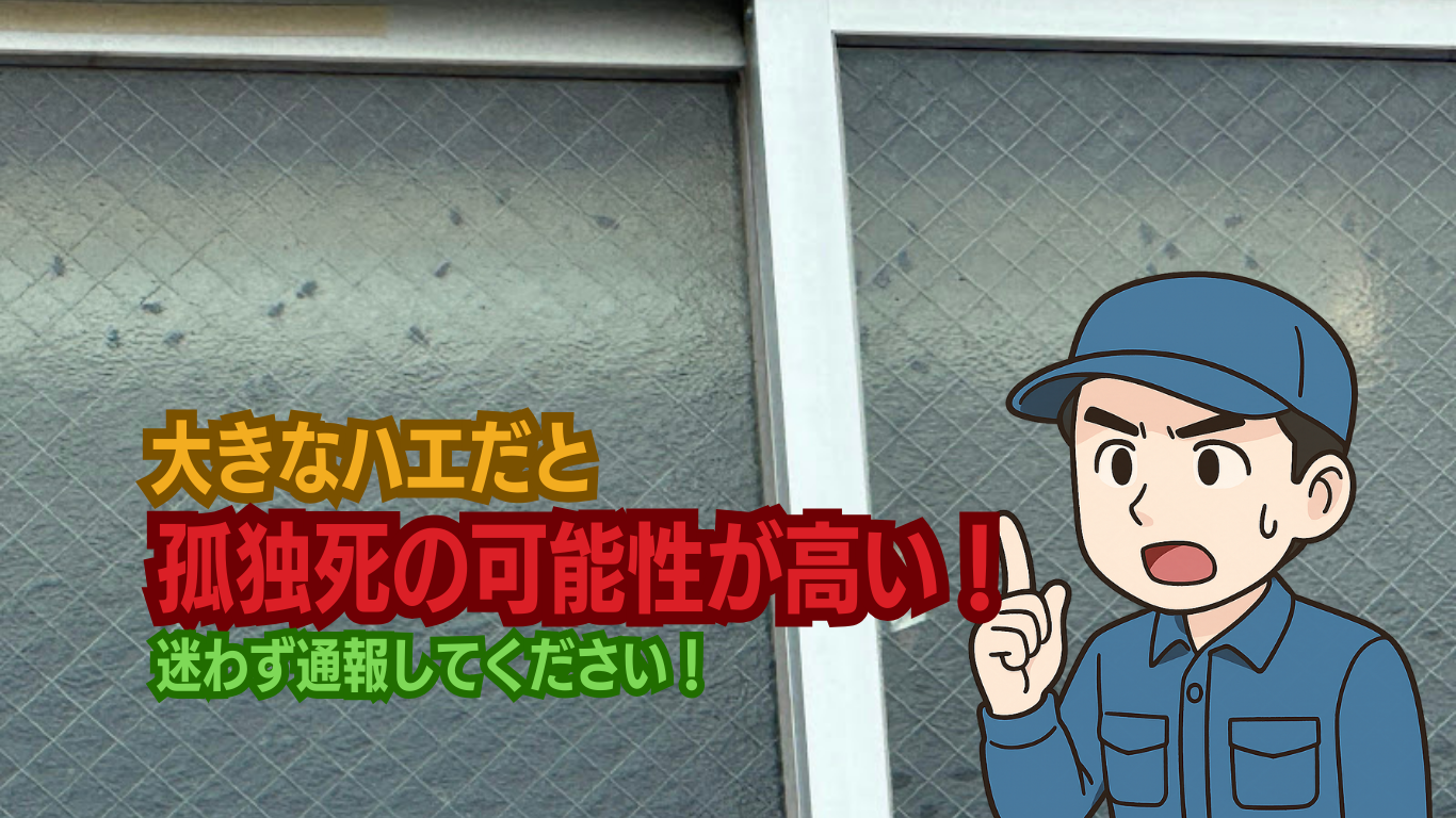 孤独死なら大きなハエ