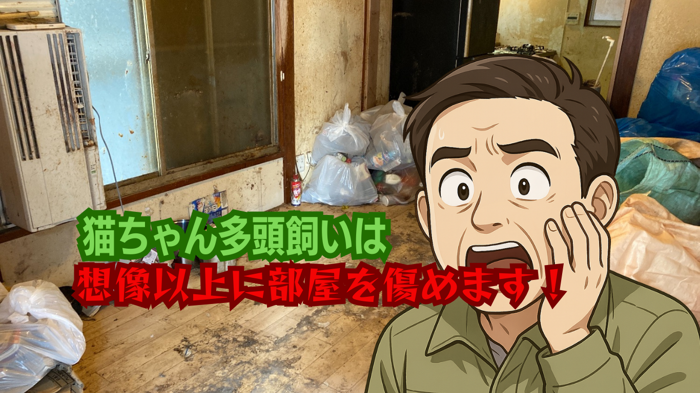 猫を多頭飼いしていた部屋の消臭