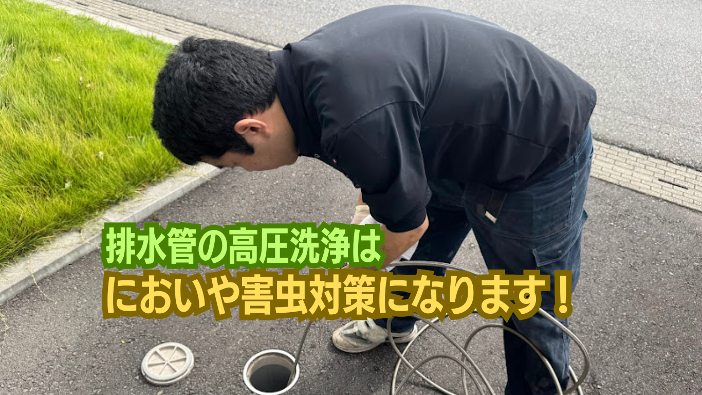 排水管はゴキブリの巣窟