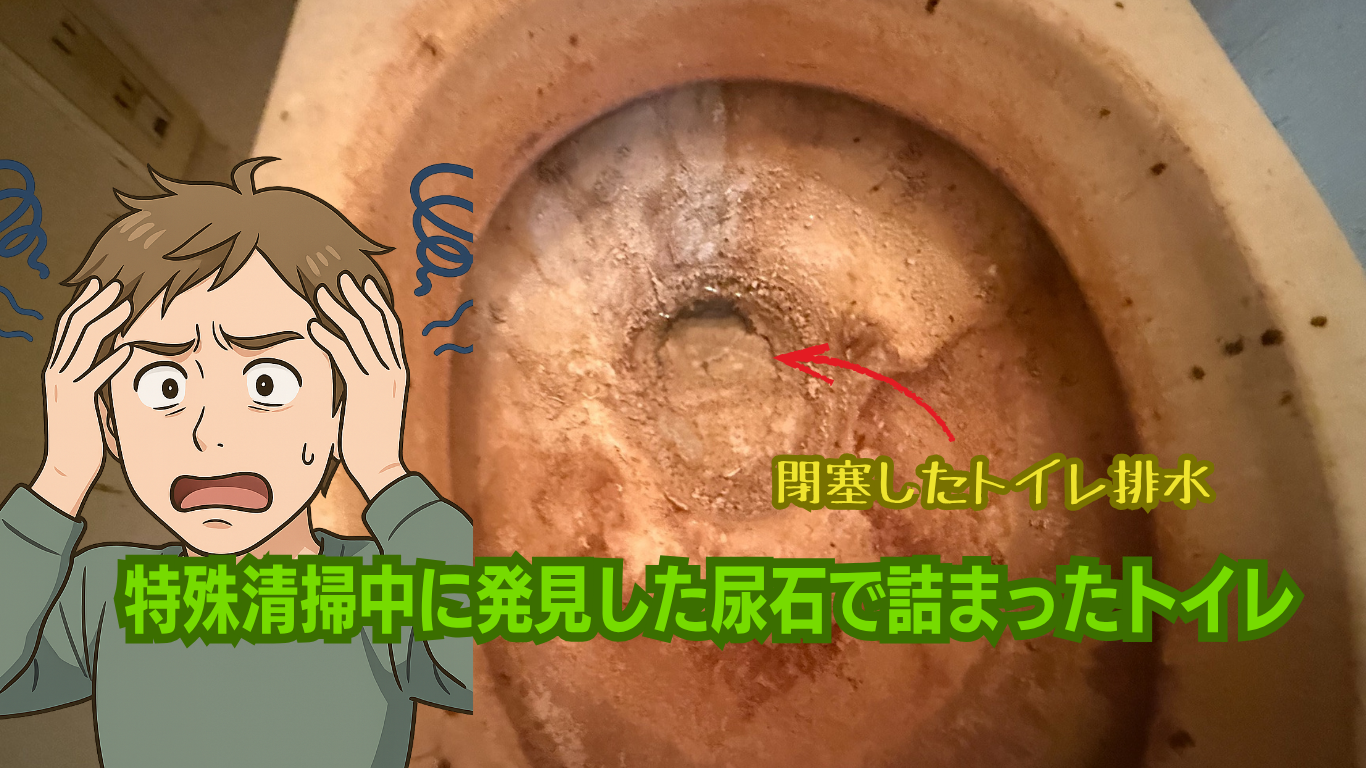 尿石で詰まったトイレ
