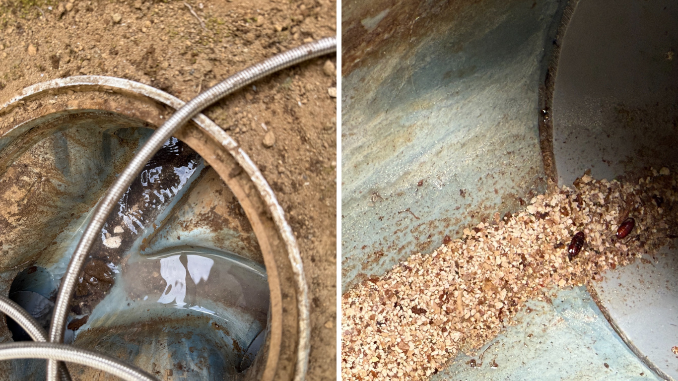 孤独死の特殊清掃でも排水管洗浄は必須