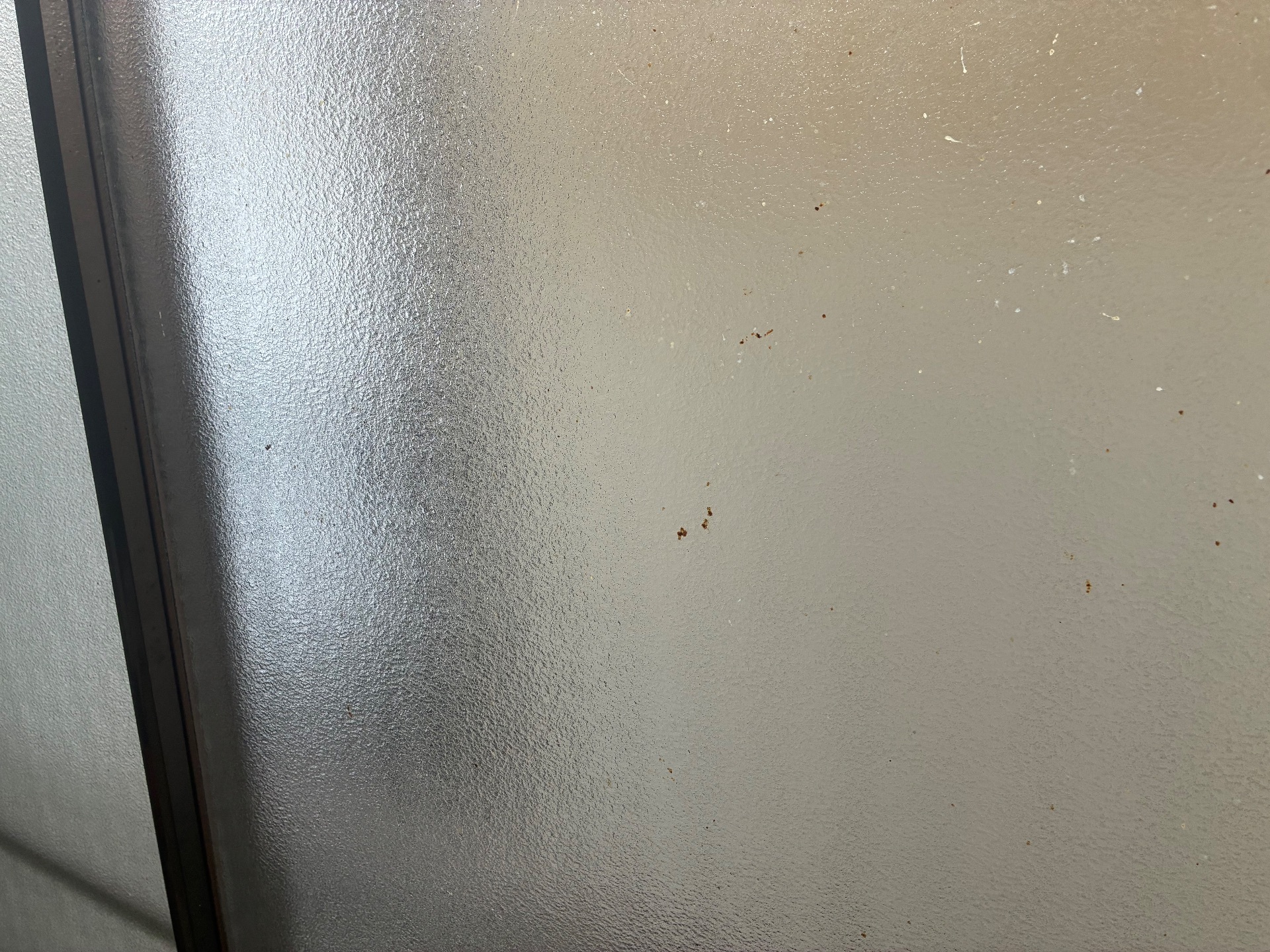 窓のハエ跡はにおい発生源