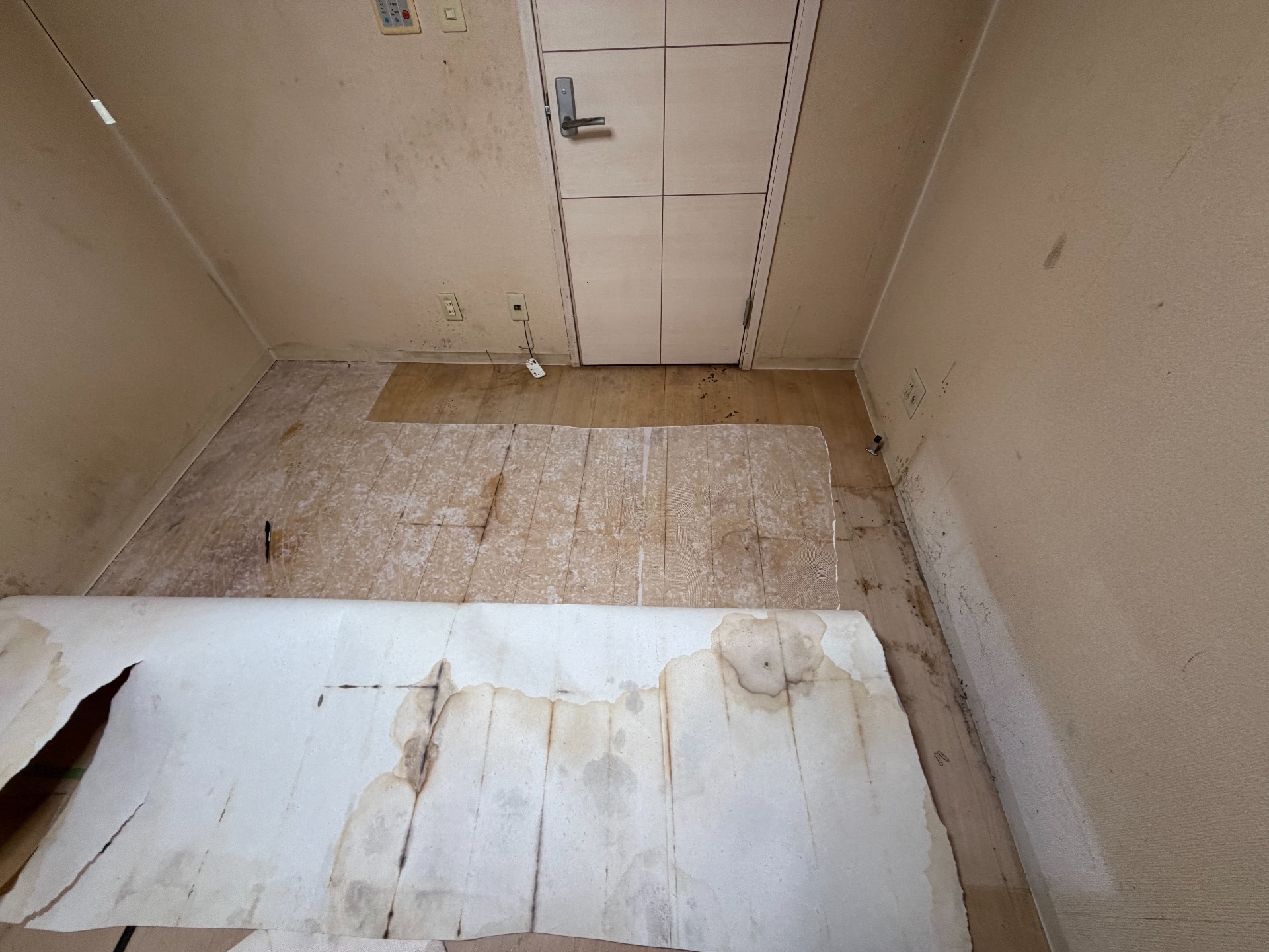 床にご遺体痕残り