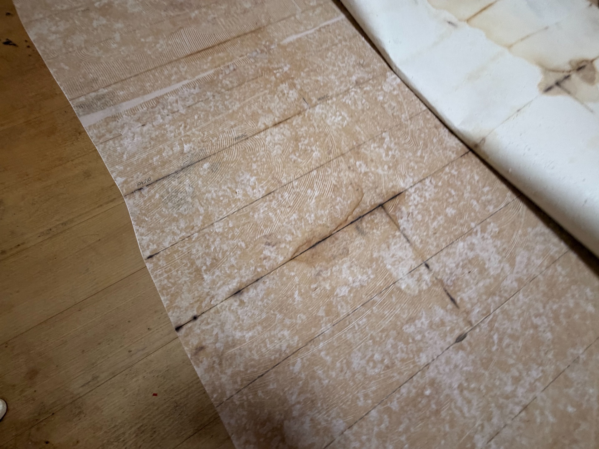 特殊清掃リカバリー