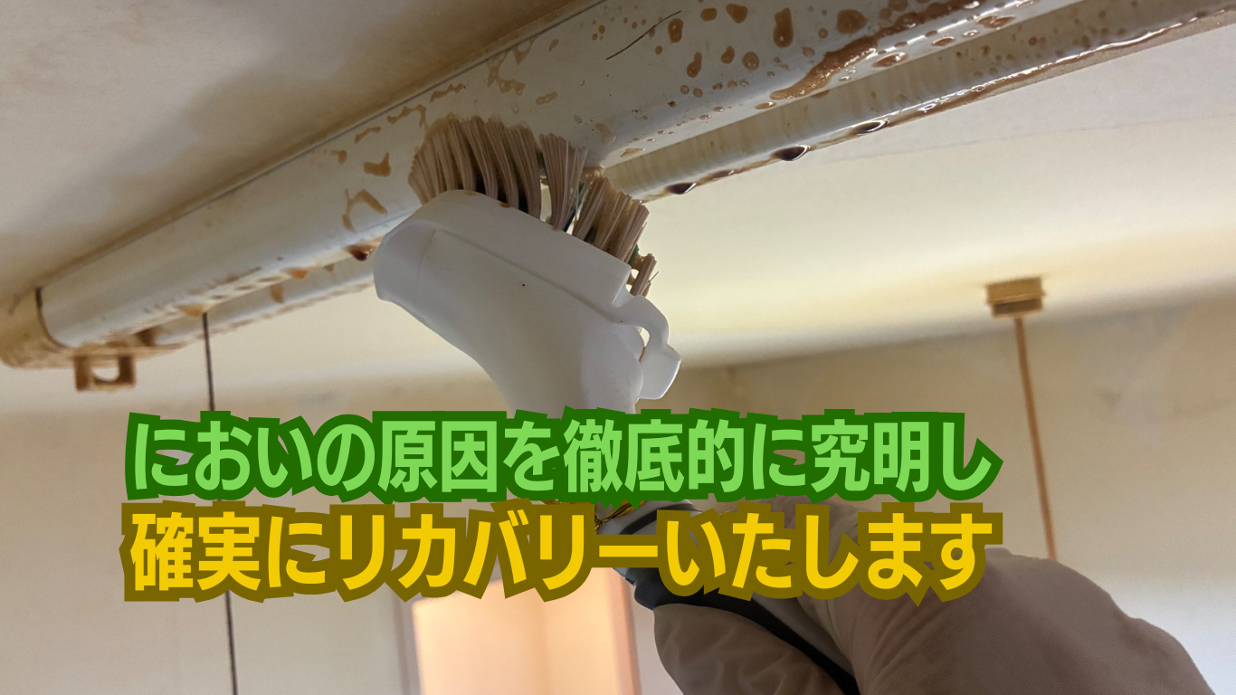 完璧な特殊清掃と部屋の消臭