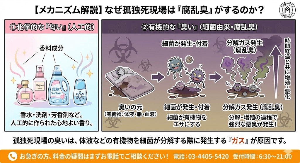 臭いの発生メカニズム