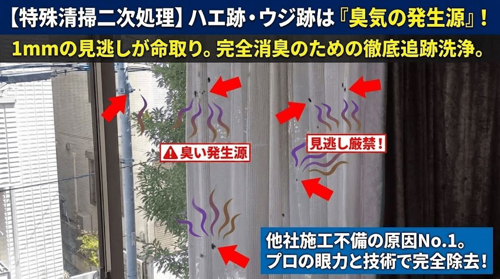 特殊清掃二次処理で小さな汚れも取る