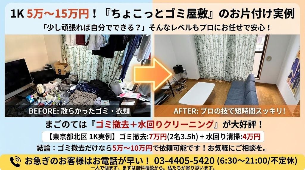 ゴミ屋敷片付け5万円～10万円事例