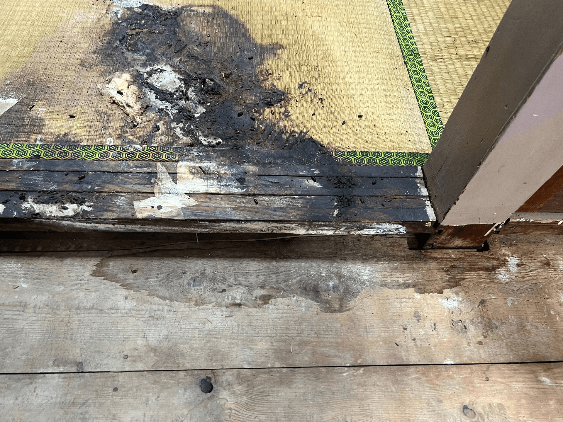 特殊清掃前の現場