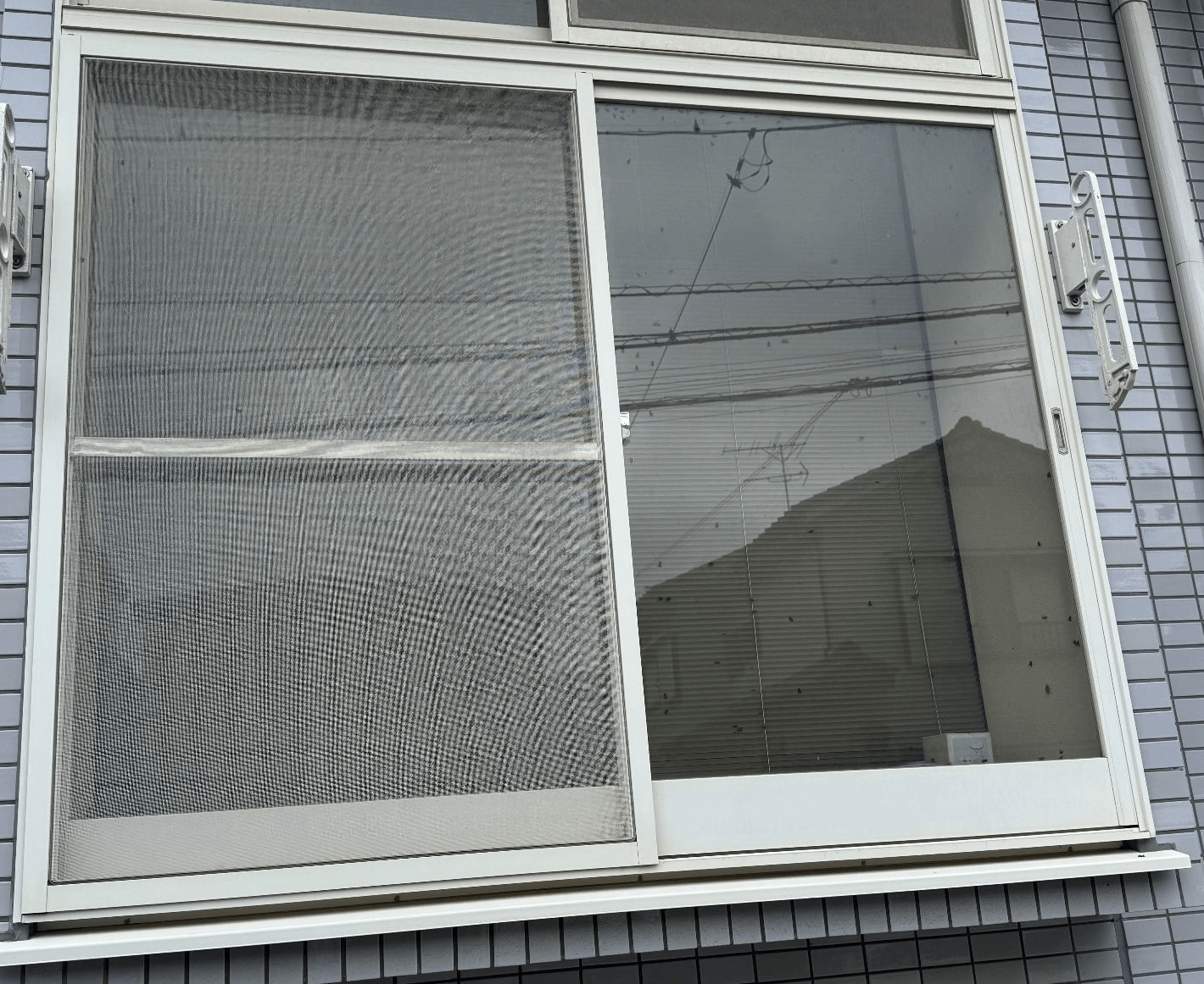 孤独死現場の窓にたかる大量のハエ