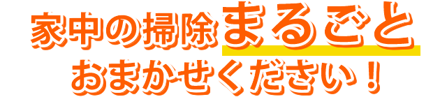 家中の掃除まるごとおまかせください！