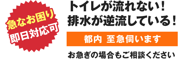 急なお困り即日対応可　トイレが流れない！排水が逆流している！都内　至急伺います　お急ぎの場合もご相談ください